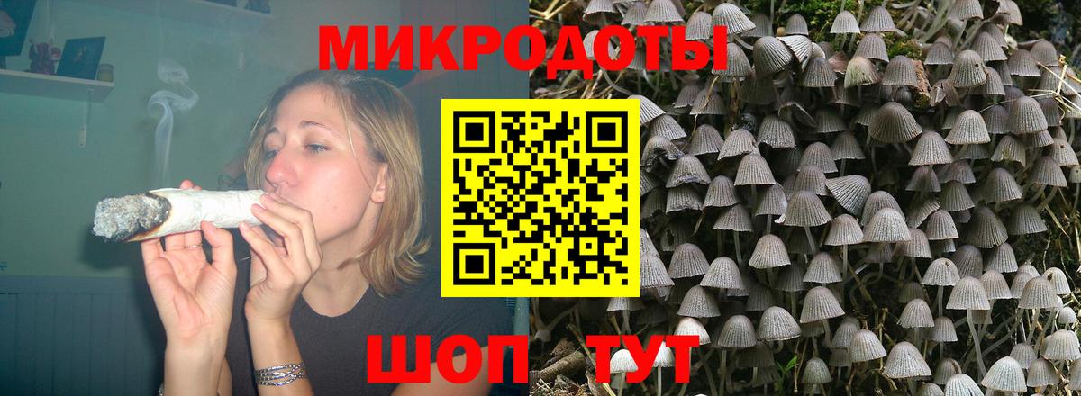 Псилоцибиновые грибы ЛСД Хасавюрт
