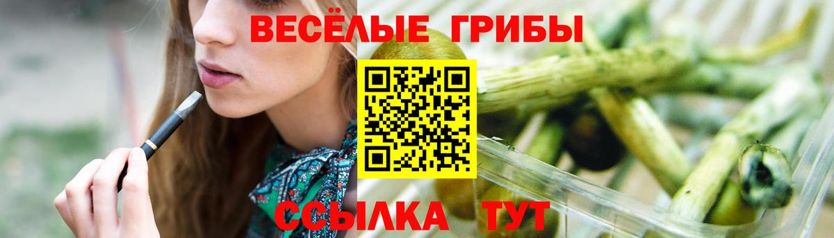 Хасавюрт  Псилоцибиновые грибы ЛСД  где купить наркотик  Вход с VPN 